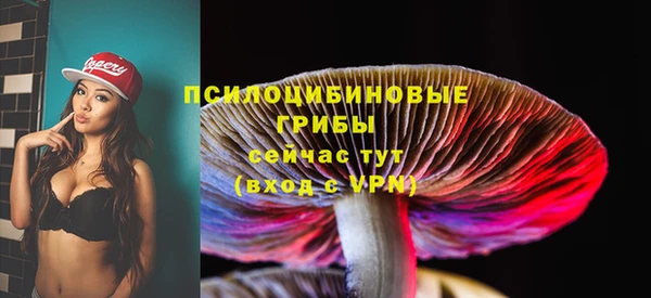 ГАЛЛЮЦИНОГЕННЫЕ ГРИБЫ Алексин
