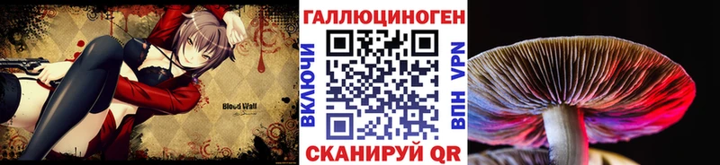 Псилоцибиновые грибы Cubensis  Новодвинск 